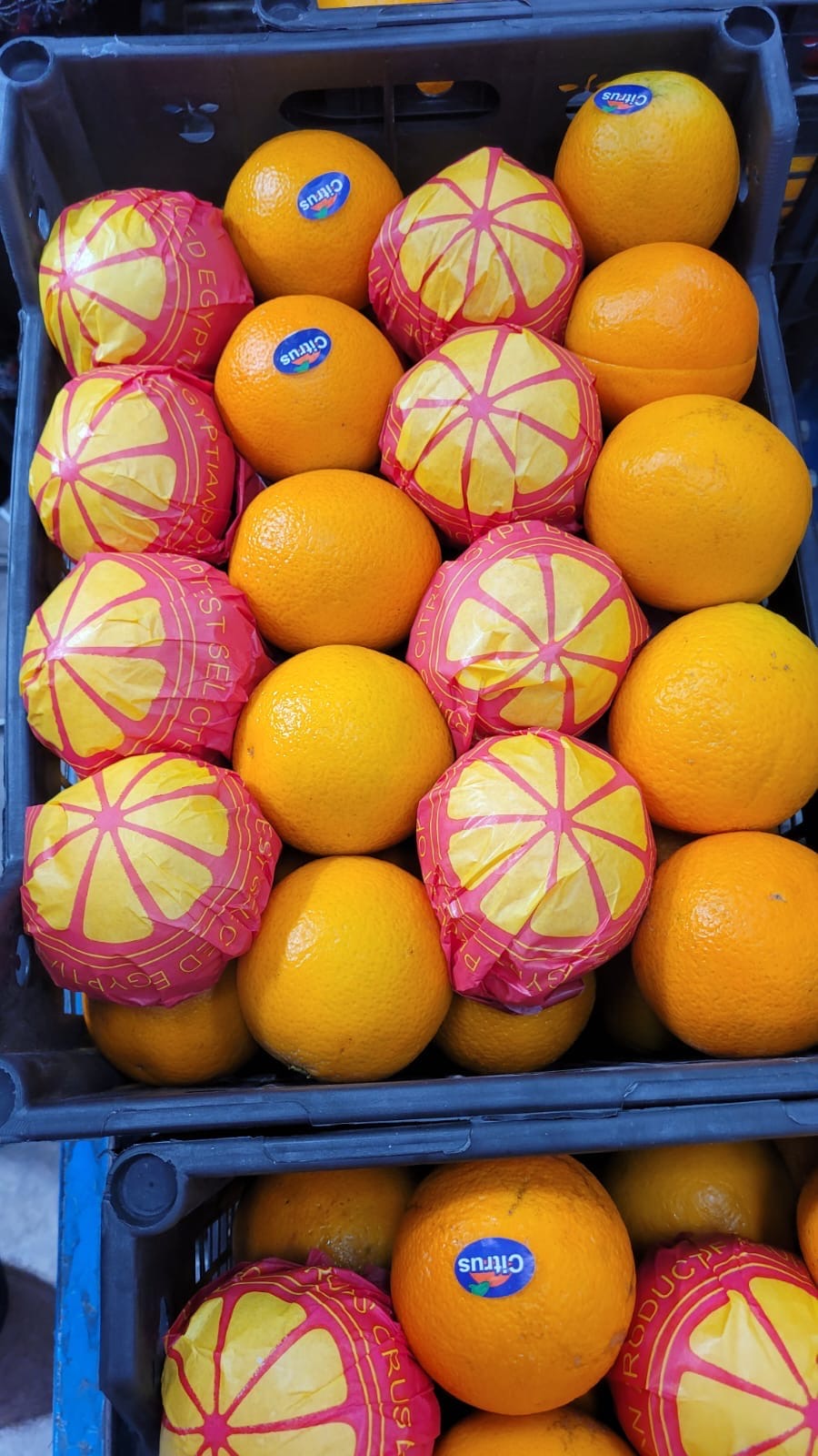 Ägyptische Orangen
