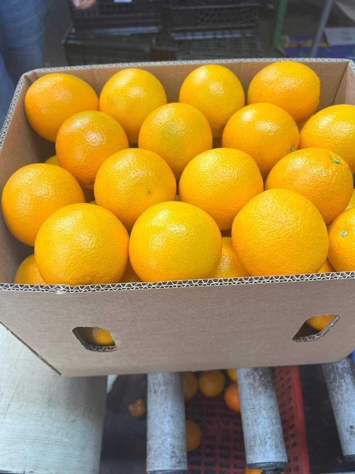 Ägyptische Orangen
